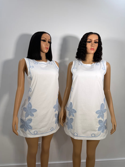 Maria denim dress